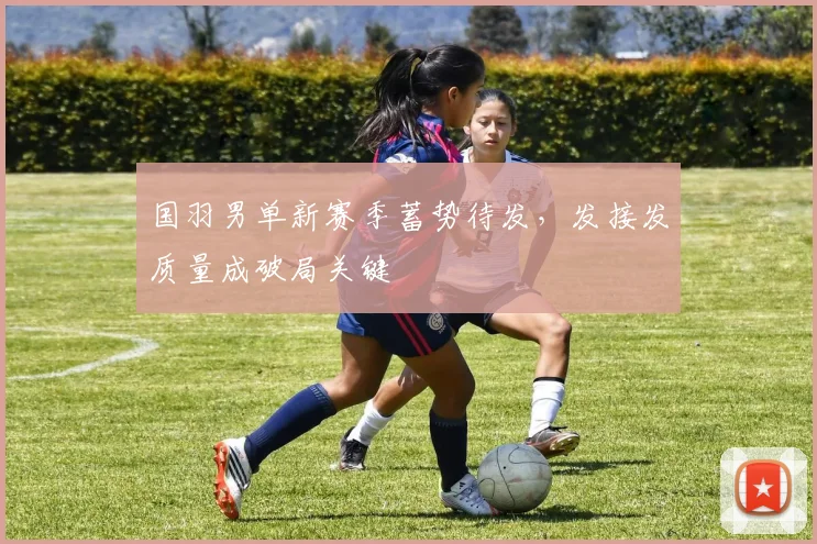 国羽男单新赛季蓄势待发，发接发质量成破局关键